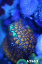 IMG_2566.JPG