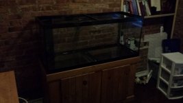 75 gallon optimized.jpg