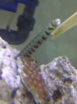 IMG-20130926-00795.jpg