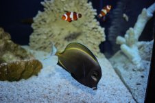 IMG_3966.jpg