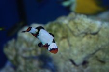 IMG_3968.jpg