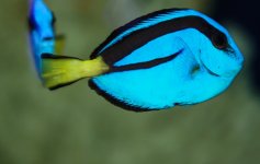 IMG_3980.jpg