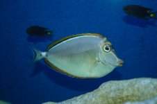 IMG_3989.jpg