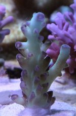 IMG_8428.jpg