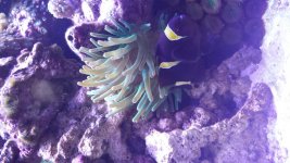 20140309_094334.jpg