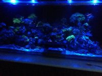 IMG_0641.jpg