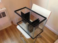 Optimized-IMG_2268.jpg