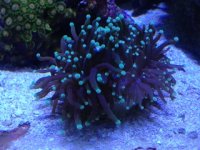 IMG_5661.jpg