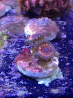 IMG_5669.jpg