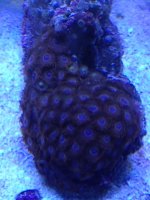 IMG_5672.jpg