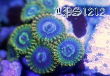 IMG_3619.JPG