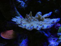 IMG_5775.jpg