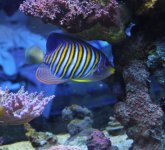 IMG_5450.JPG