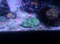 IMG_20130508_132810.jpg