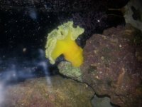 20130515_210721.jpg
