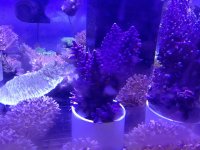 IMG_0759.JPG