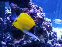20130519_201258.jpg