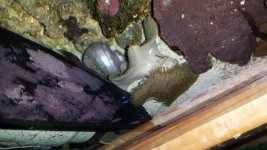 20130704_102449.jpg