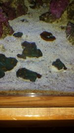 20130704_102439.jpg