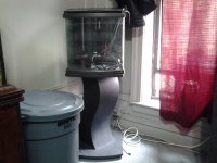 20130520_0946111124846814.jpg