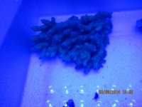 IMG_0342.jpg