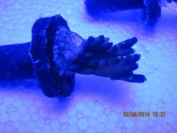 IMG_0349.jpg