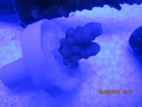 IMG_0352.jpg