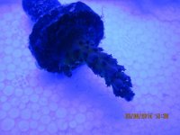 IMG_0354.jpg