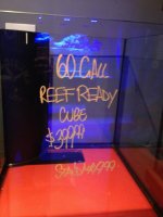 ImageUploadedByReefs1373035880.702576.jpg
