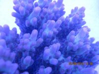 IMG_0361.jpg