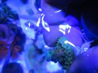 ImageUploadedByReefs1381128156.173770.jpg