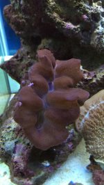 IMAG0308.jpg