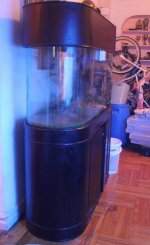 IMG_5458.jpg