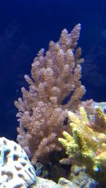 IMAG0319.jpg