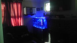 IMAG0082.jpg