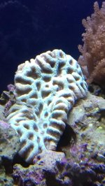 IMAG0320.jpg