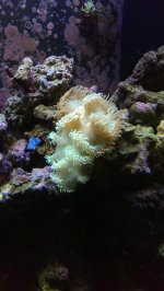 IMAG0310.jpg
