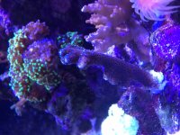photo (16).JPG