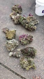 rock.jpg