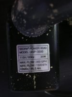 ImageUploadedByReefs1373228299.646877.jpg