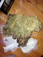 ImageUploadedByReefs1373228502.710568.jpg