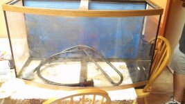 IMG_20131107_173807_818.jpg