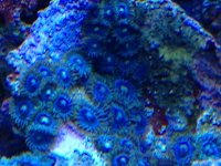 IMG_1012_zps46544c66.jpg
