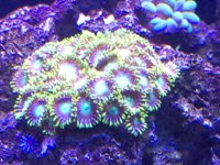 IMG_6257.jpg