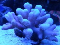 20140228_101020434604185.jpg