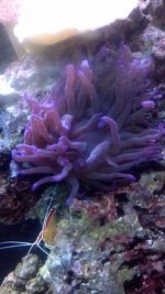 IMG_20131005_144831_760.jpg