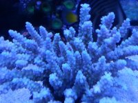 20140228_0852521754985812.jpg