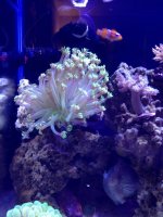 IMG_0854.jpg