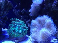IMG_0822.jpg
