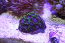 IMG_8192.jpg